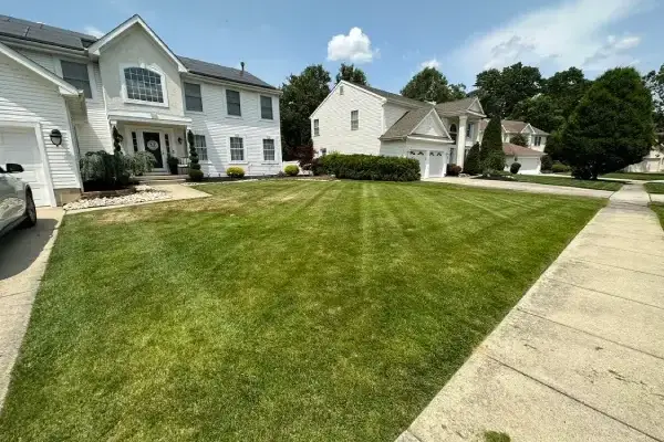Lawn Mowing Lawn Mowing