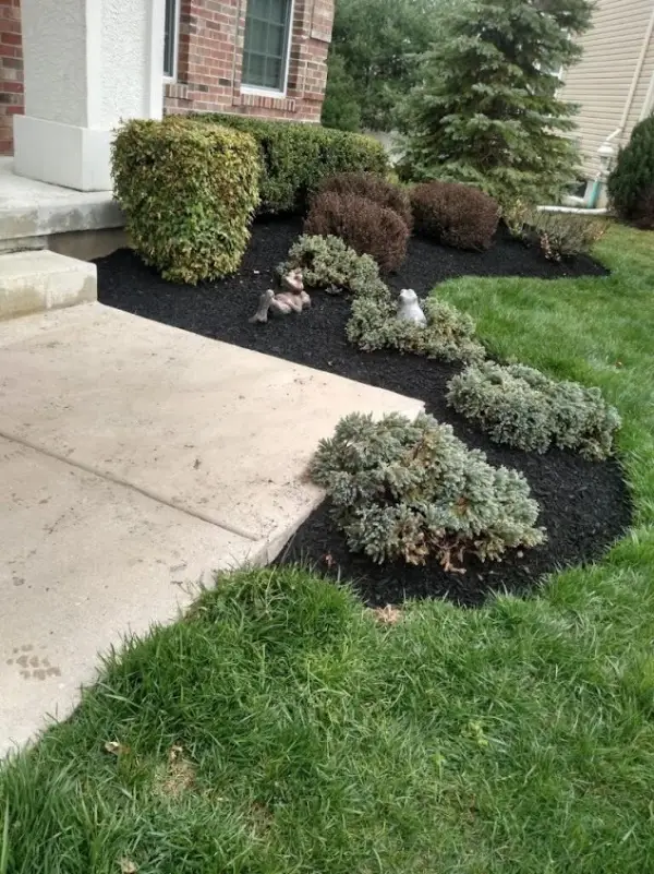 Reliable Landscaper Reliable Landscaper